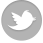 icon twitter